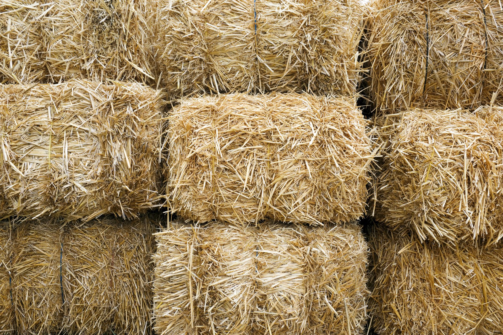 Stacked Straw Hay Bails
